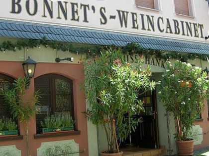 Foto: Weingut Bonnet Walluf